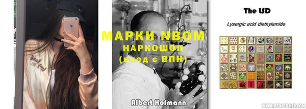 индика Волосово