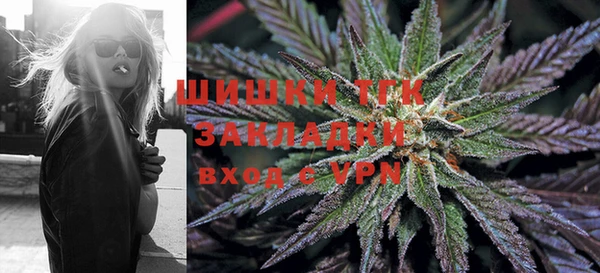 соль ск Верхний Тагил