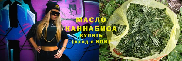 индика Волосово