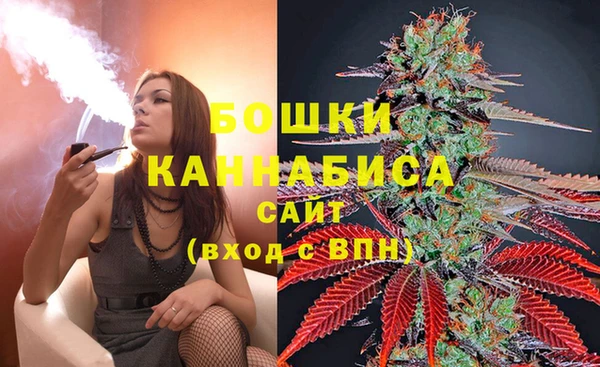 индика Волосово