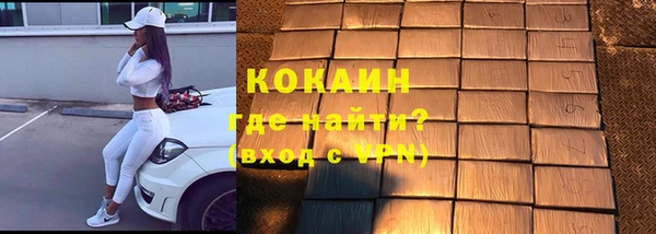 индика Волосово