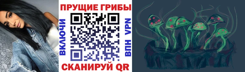 сколько стоит  mega ссылка  Псилоцибиновые грибы мухоморы  Верея 